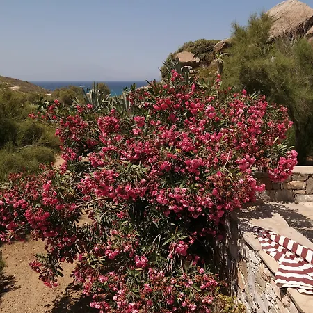 Sun Rock * Στελίδα